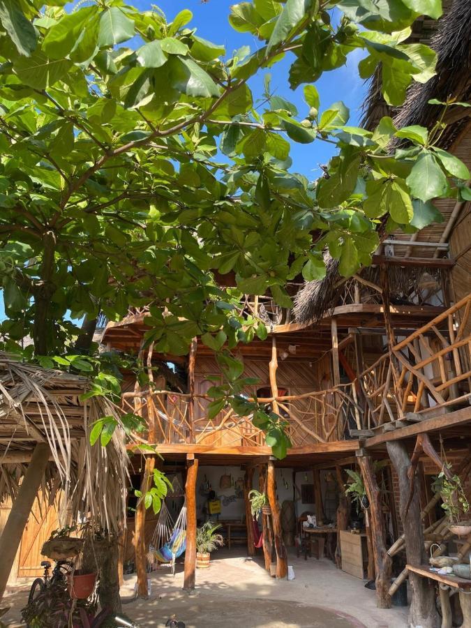 Hostal Olmito Canoa Exterior photo
